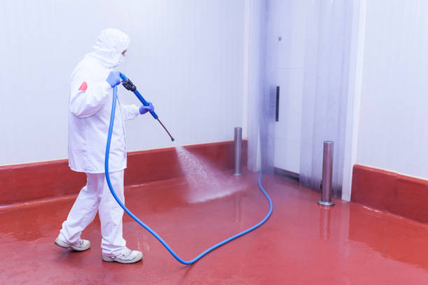 Best Pre-Holiday Cleaning  in Fox Chapel, PA